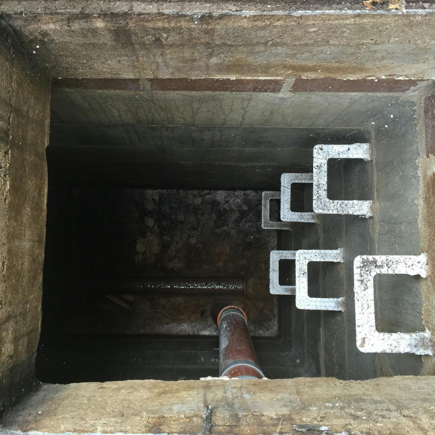 Blocked Drains — Pulse Plumbing & Gas